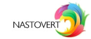 Nastovert Logo